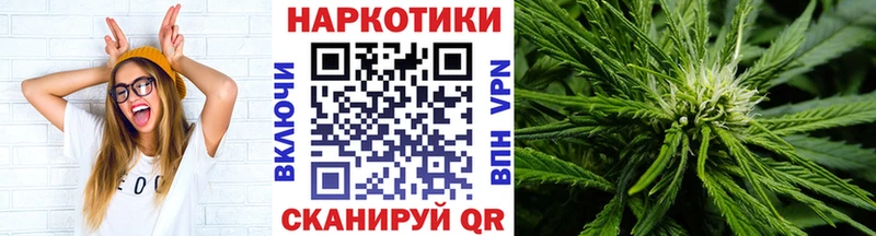 Купить закладку Каннабис  Alpha PVP  Меф мяу мяу  Cocaine  Губкин