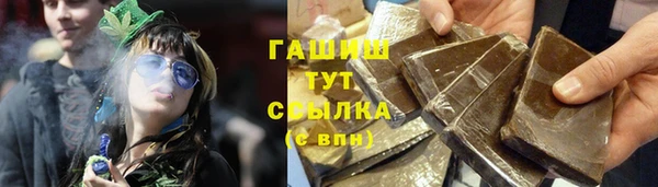 эйфоретик Ельня