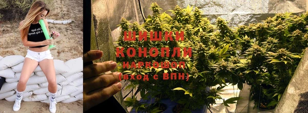 эйфоретик Ельня