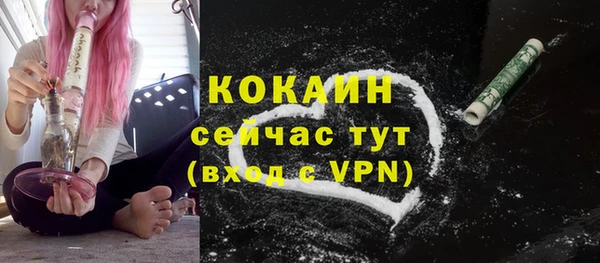 эйфоретик Ельня