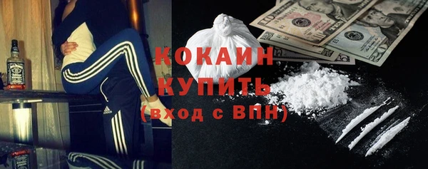 эйфоретик Ельня