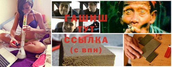 эйфоретик Ельня