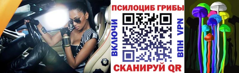 Купить где  Губкин  Галлюциногенные грибы MAGIC MUSHROOMS 